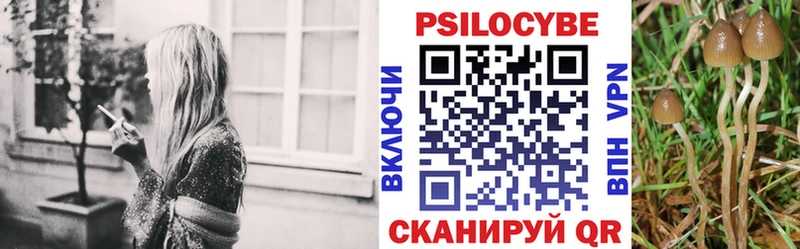 Галлюциногенные грибы Psilocybe  Аркадак 